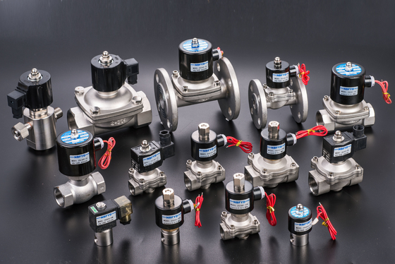 Hydraulic Electric Brass Solenoid Valve 12V 24V 110V 220V AC DC Water Copper Coil