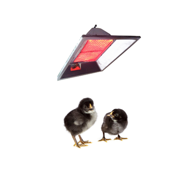 Incubator Infrared Gas Brooder CE Certificated For Chick Animal Husbandry
