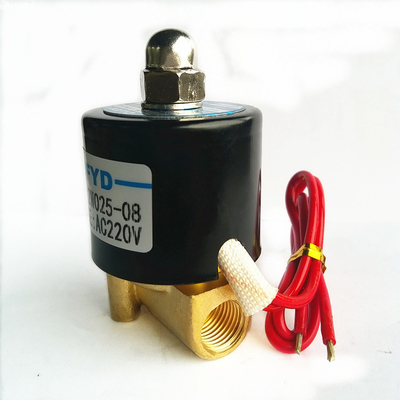 2W Igniter Burner Solenoid Valve Ignition Electrode Hydraulic For Gas Heater