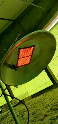 Incubatrice infrarossa Heater For Poultry Farm Chicks del gas del giro del mercato dell'Africa