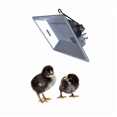 2.7 KG LP Gas Brooder Heaters 320*270*130mm For 800-1000 Brooding Chicks