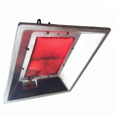 Powerful Poultry Heat Lamp - Reliable Heating Solution at 1.7kg