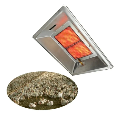Manual Ignition Poultry Brooding Lamp for 1 Year Without Human Factor Optimal Results