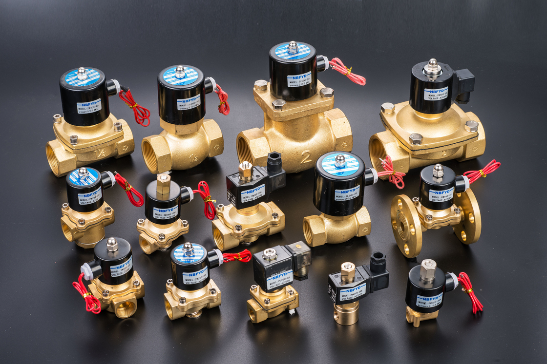 Hydraulic Electric Brass Solenoid Valve 12V 24V 110V 220V AC DC Water Copper Coil