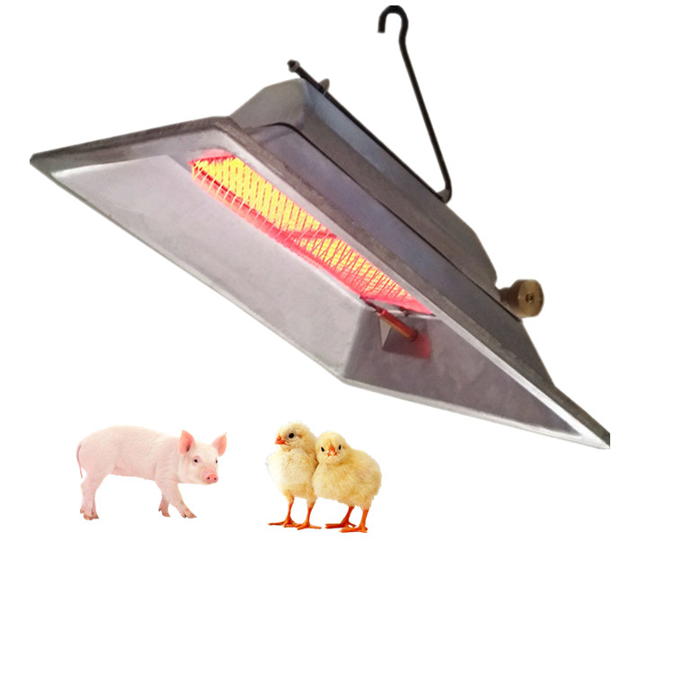 Energy Saving Gas Brooder Heater High Efficiency 2.46 KW/h For Chicks Piglet