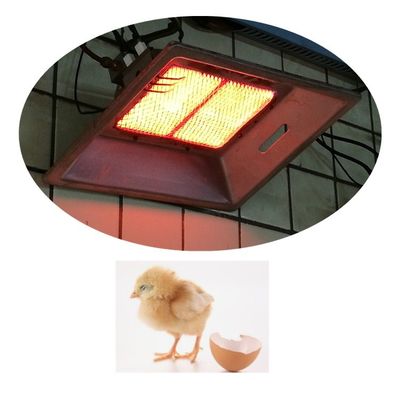 Natural Gas LPG Poultry Chicken Brooder Heaters Aluminum Poultry House ...